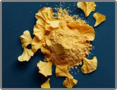 Ginkgo Biloba Powder in Nitric Boost supplement